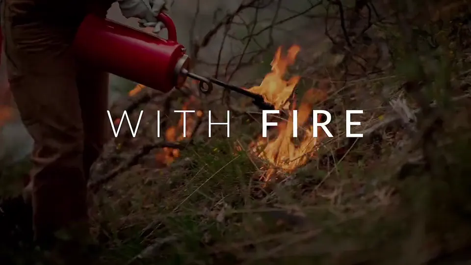 Still from a film trailer